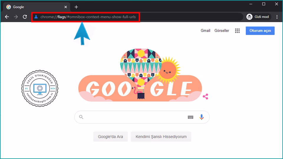 Google Chrome'da Tam URL Adresini Gösterme