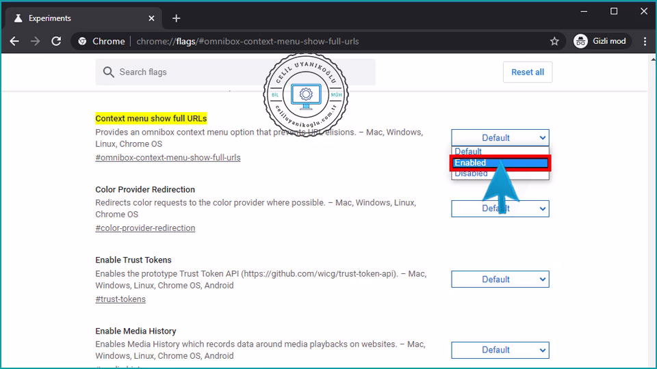 Google Chrome'da Tam URL Adresini Gösterme