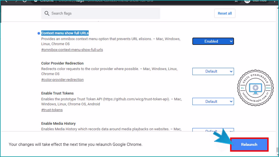 Google Chrome'da Tam URL Adresini Gösterme