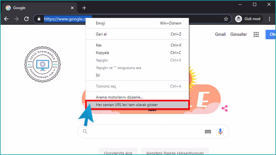 Google Chrome'da Tam URL Adresini Gösterme