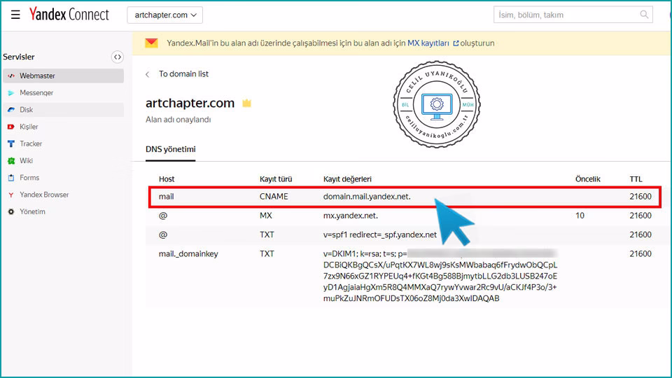 Yandex Connect ile Kurumsal Mail cname