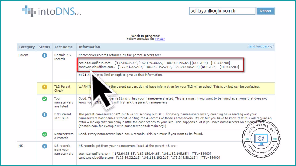 intodns domain name server kontrol raporu