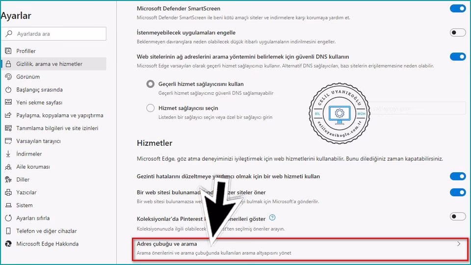 edge Adres çubuğu ve arama