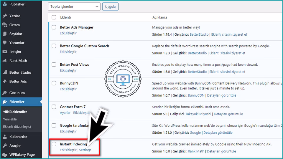 Instant Indexing eklentisinin ayarları