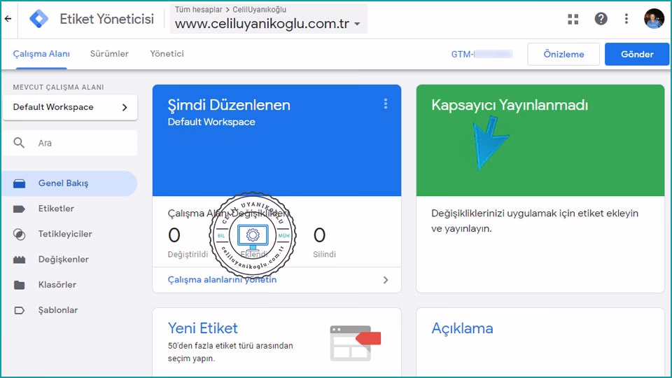 Google Tag Manager paneli