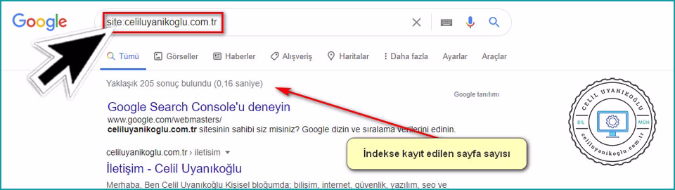 site index alıyor mu