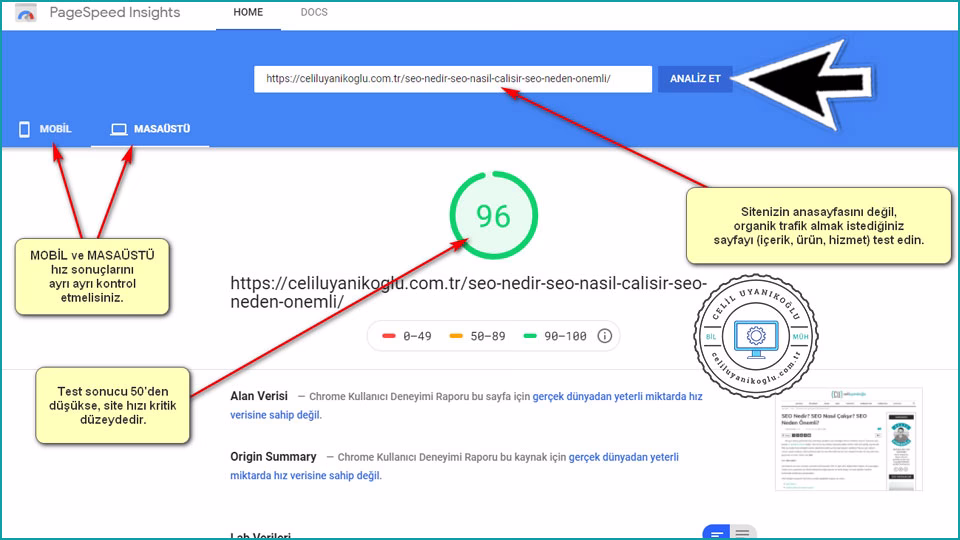site hızı raporu