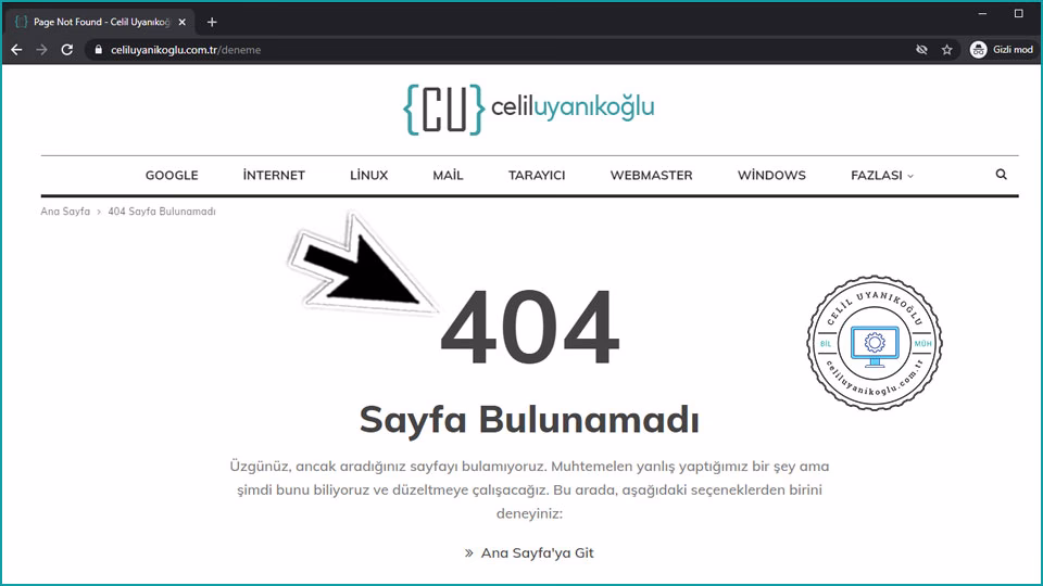 404 sayfası örneği