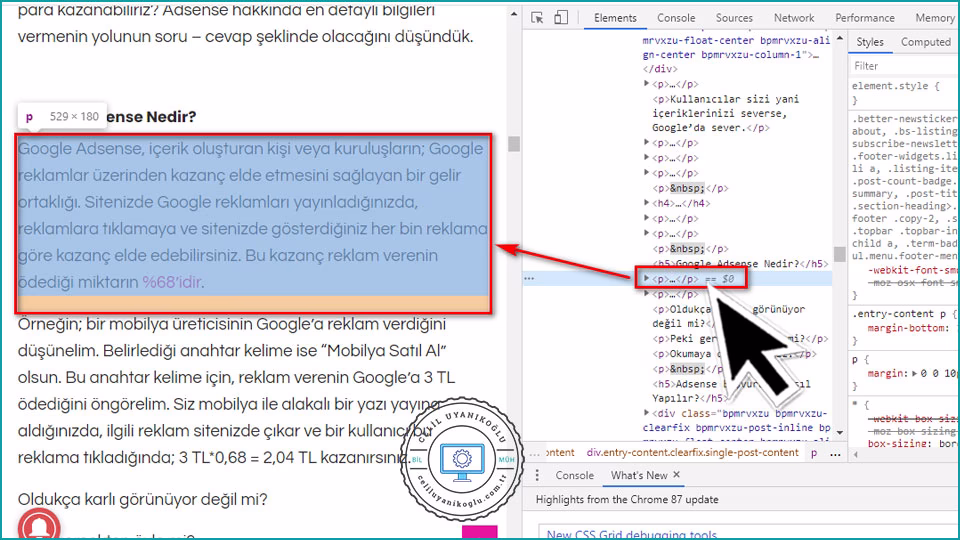 chrome incele paneli