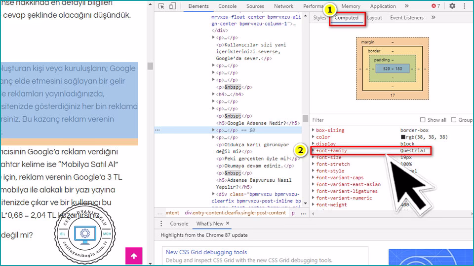 chrome computed sekmesi