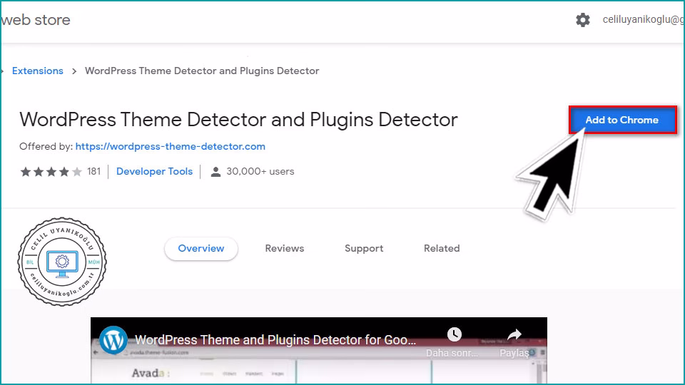 WordPress Theme Detector and Plugins Detector