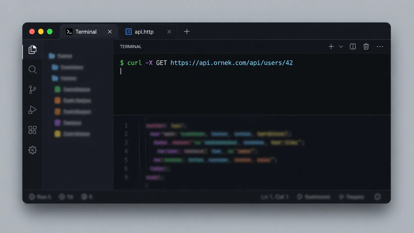 Terminalde curl ile bir API isteği test edilirken görünen kod editörü penceresi