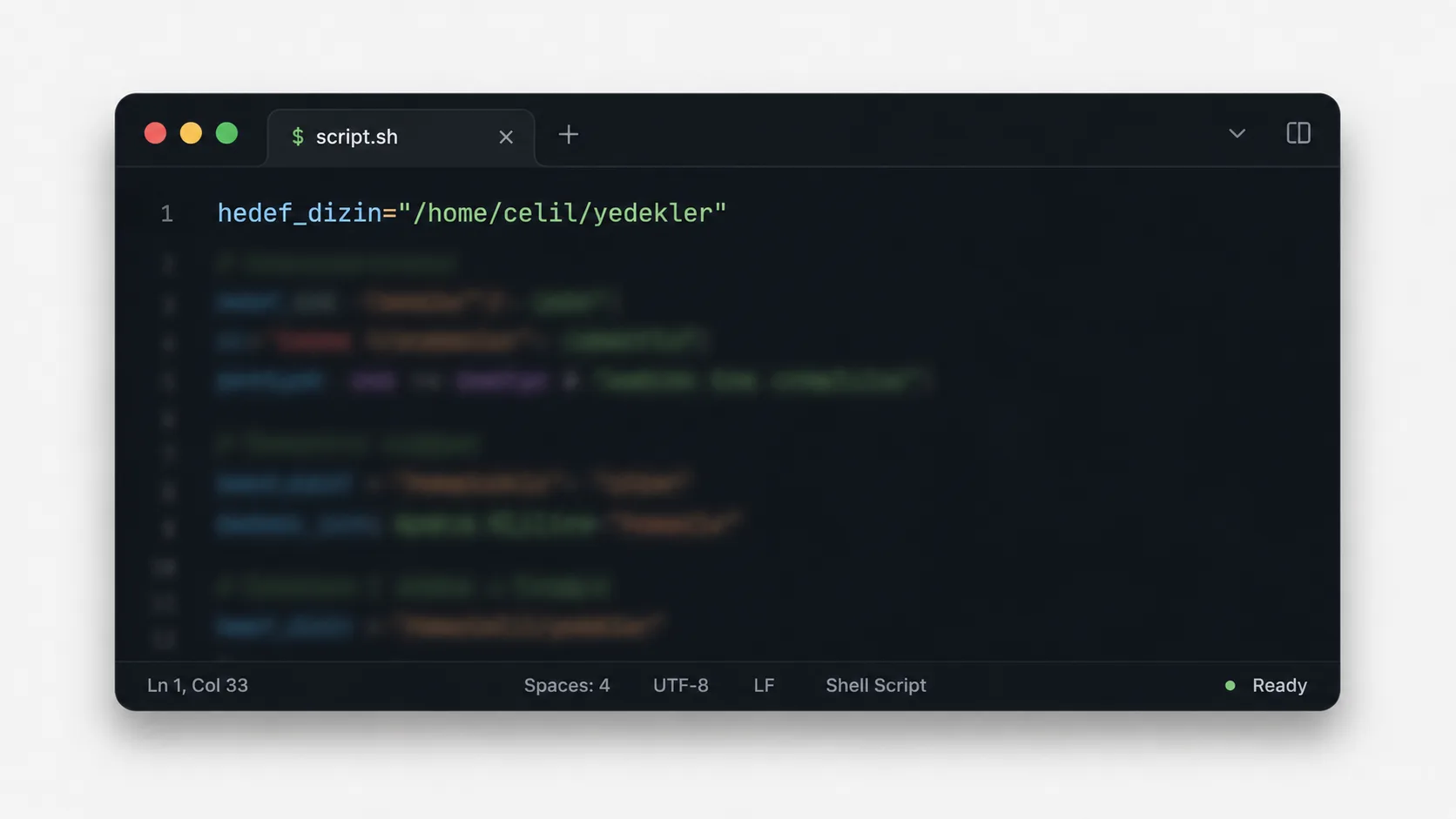 Bash betiğinde değişken atama ve komut satırı argümanlarını gösteren terminal penceresi