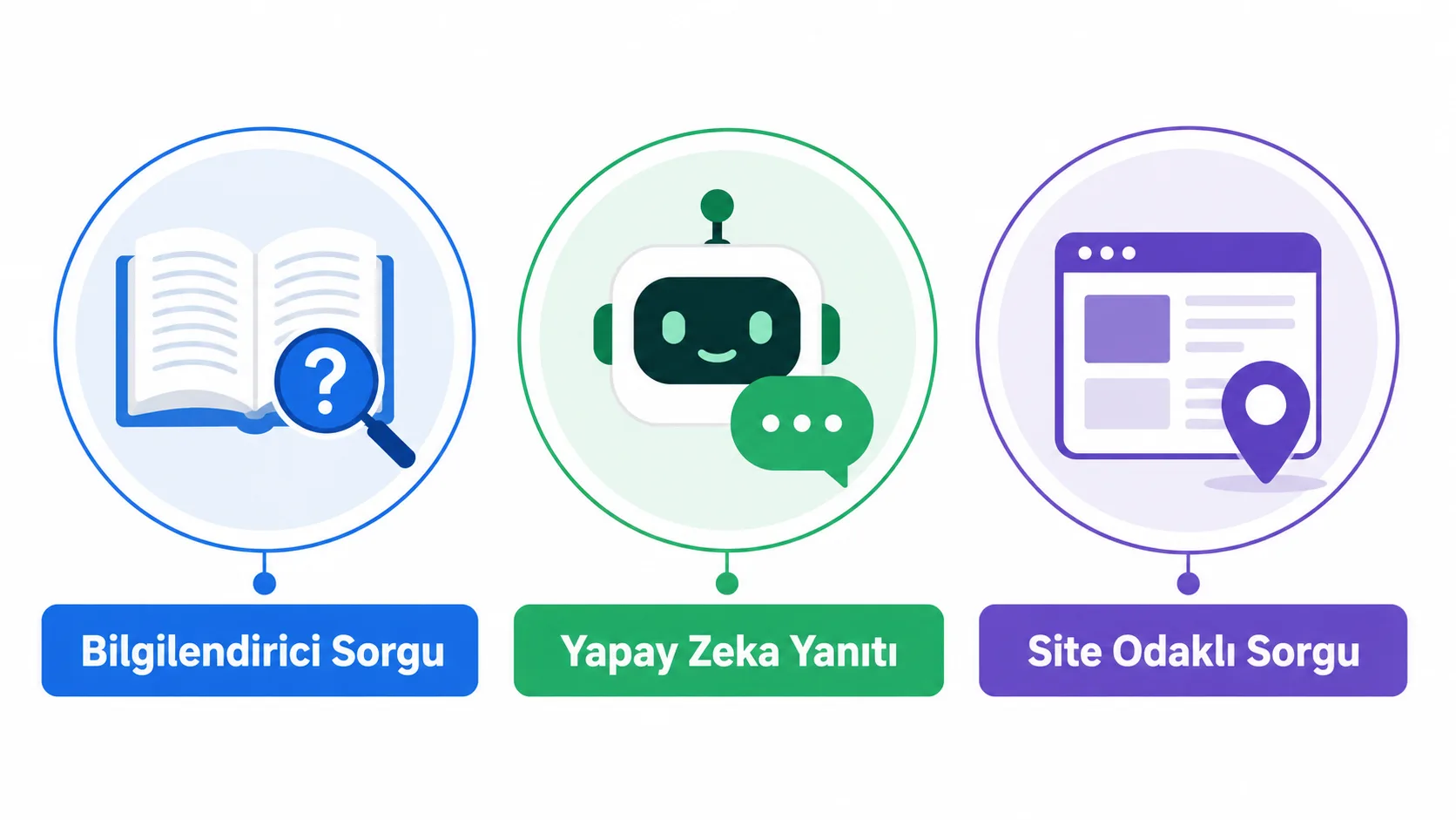 AI Overview özetinin hangi arama türlerinde göründüğünü gösteren infografik