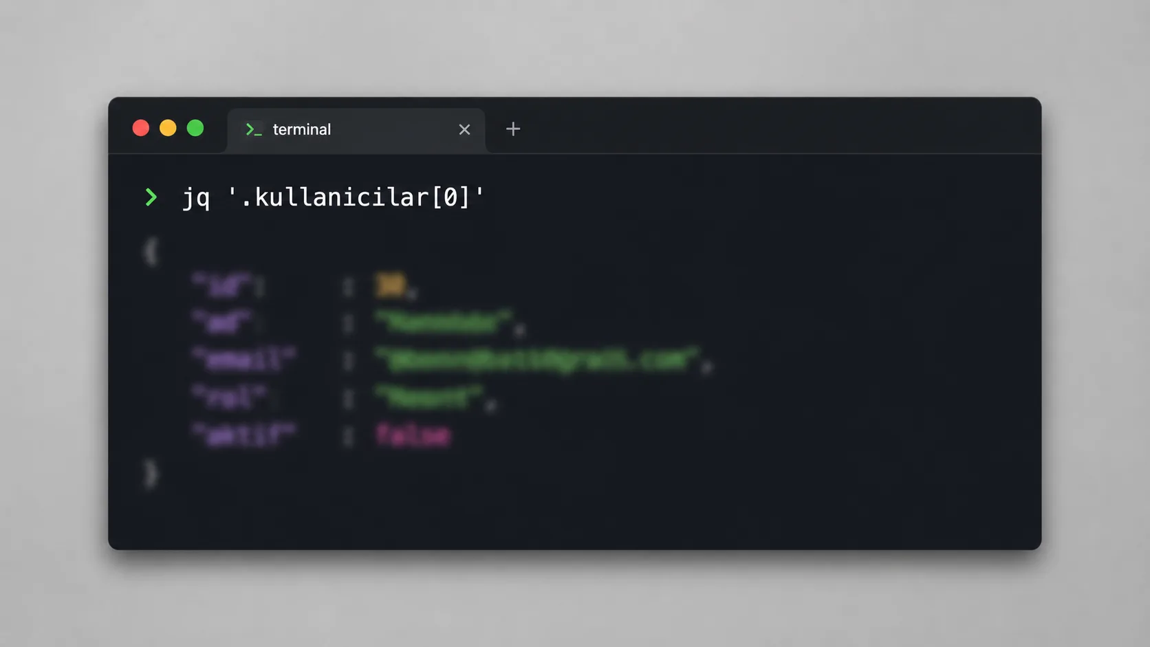 Terminalde jq komutuyla JSON verisi filtreleme ekranı