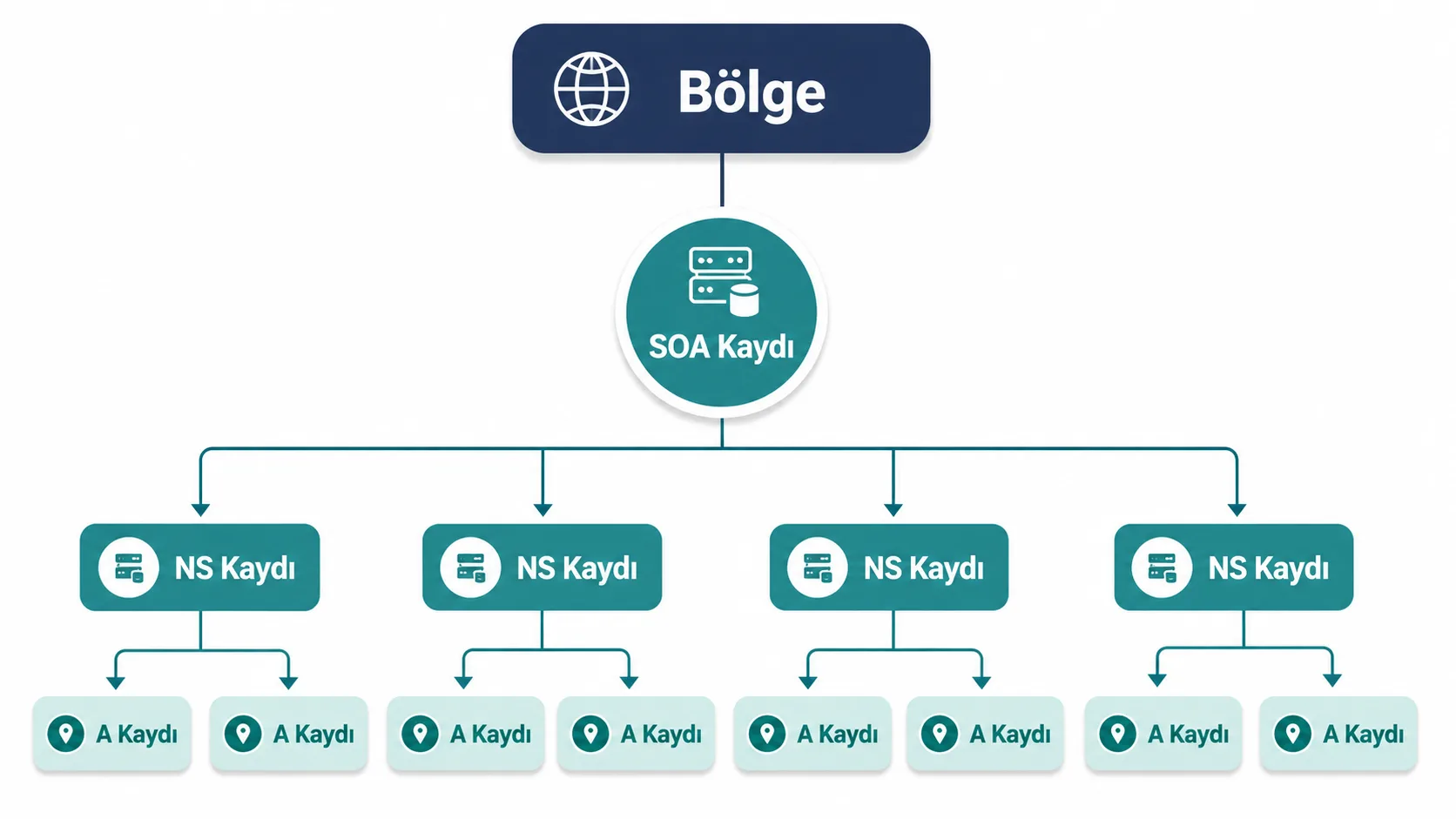 Bir DNS bölgesinin SOA, NS ve A kayıtlarından oluşan yapısını gösteren şema