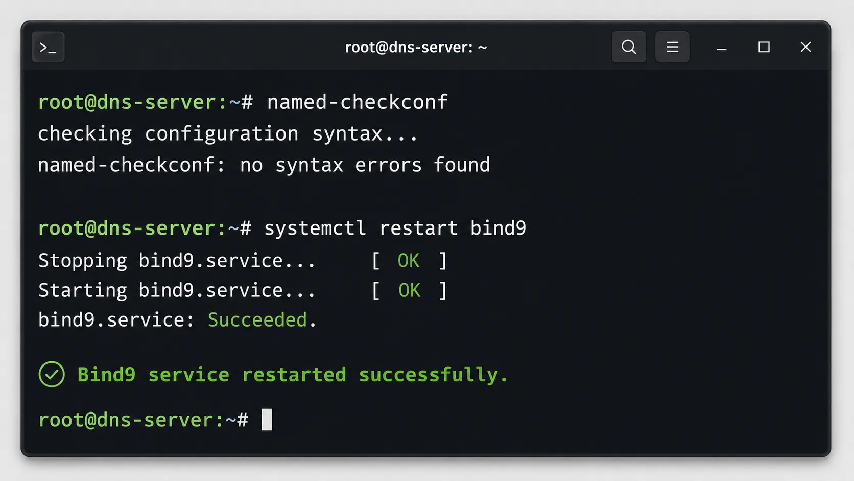 Yapılandırma dosyasının test edilip DNS servisinin yeniden başlatıldığı terminal görünümü