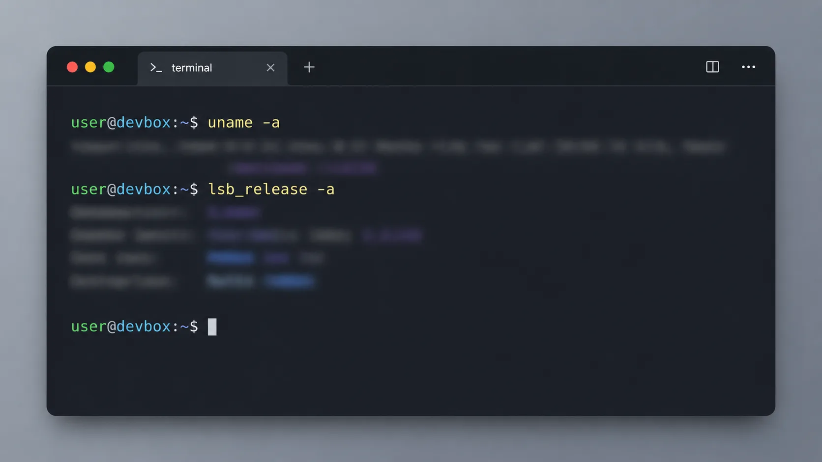 Terminalde sistem bilgisini gösteren uname ve lsb_release komutlarının çalıştırıldığı bir pencere