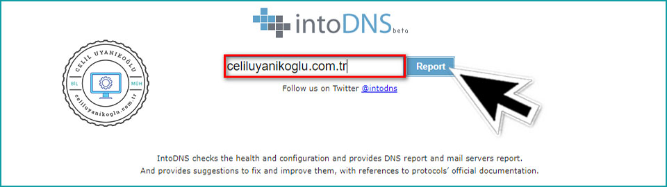 intodns domain name server kontrol 
