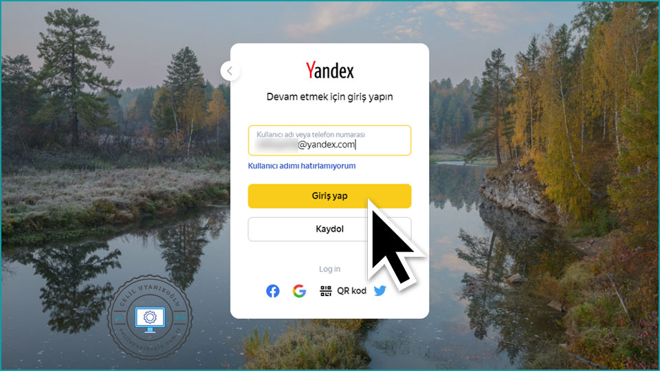 Yandex Metrica giriş